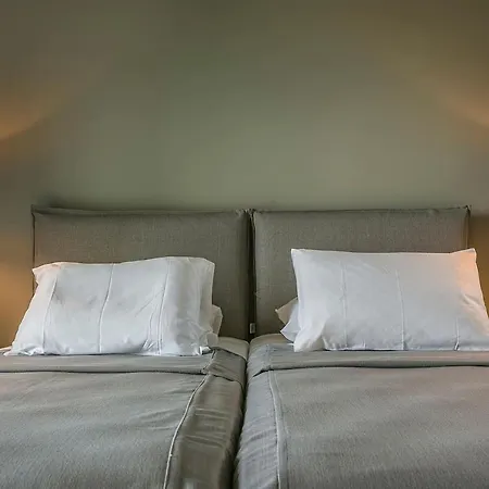 Begonia فيلة Skala (Kefalonia)